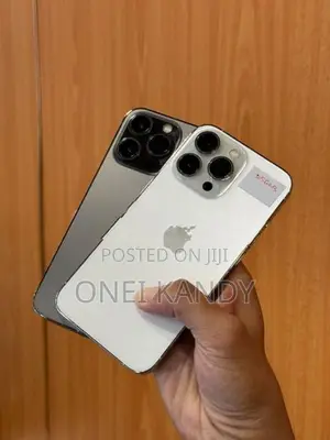 Apple iPhone 13 Pro 256GB (Used)