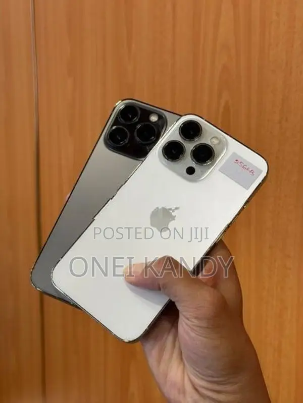 Apple iPhone 13 Pro 256GB (Used)
