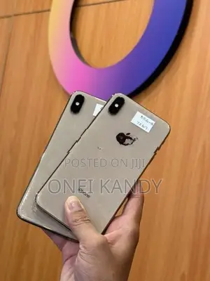 Apple iPhone XS Max 256GB (Used)