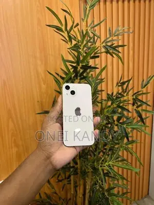 Apple iPhone 13 (Used)