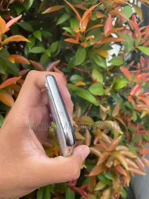 Apple iPhone X (Used)