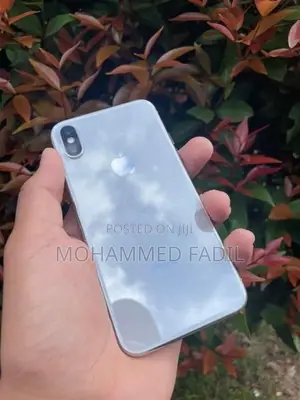 Apple iPhone X (Used)