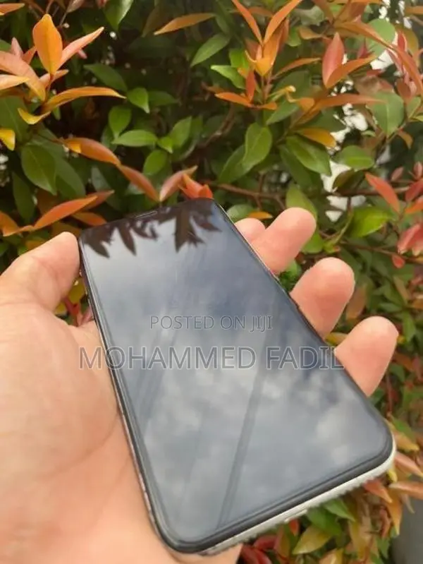 Apple iPhone X (Used)