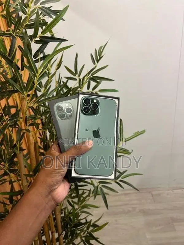 Apple iPhone 13 Pro Max (Used)
