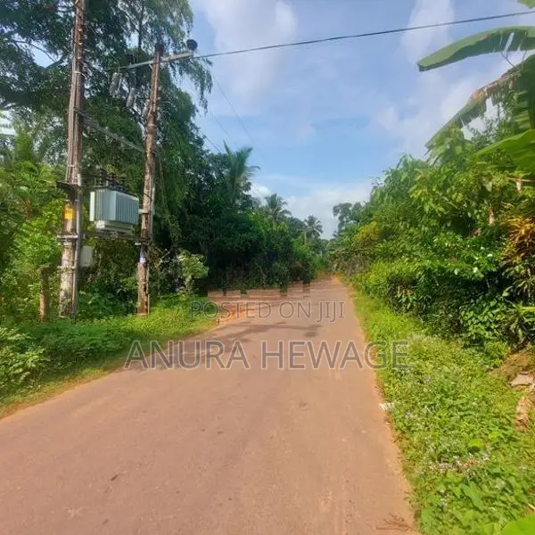 වගා කිරීමට සුදුසු ඉඩමක් කළුතර, යටවර ප්‍රදේශයෙන්. (ID: YTWR001S)