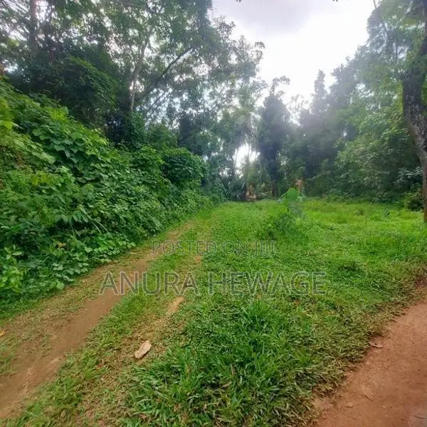 වගා කිරීමට සුදුසු ඉඩමක් කළුතර, යටවර ප්‍රදේශයෙන්. (ID: YTWR001S)