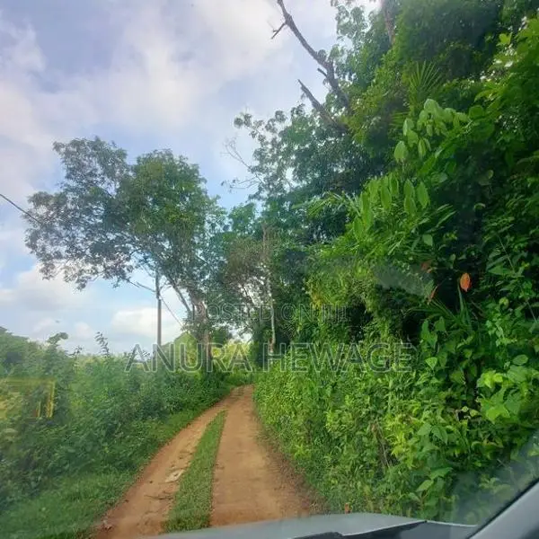 වගා කිරීමට සුදුසු ඉඩමක් කළුතර, යටවර ප්‍රදේශයෙන්. (ID: YTWR001S)