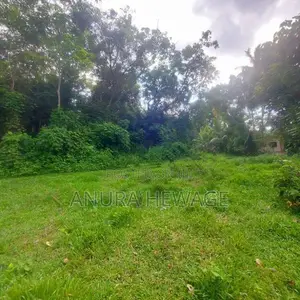 වගා කිරීමට සුදුසු ඉඩමක් කළුතර, යටවර ප්‍රදේශයෙන්. (ID: YTWR001S)