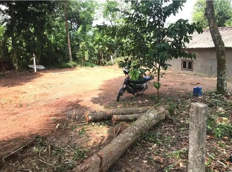 Ganemulla, Dutugemunu Mawatha 11 Perches of Land for Sale