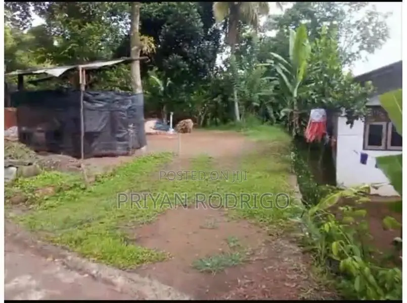 Ganemulla, Dutugemunu Mawatha 11 Perches of Land for Sale