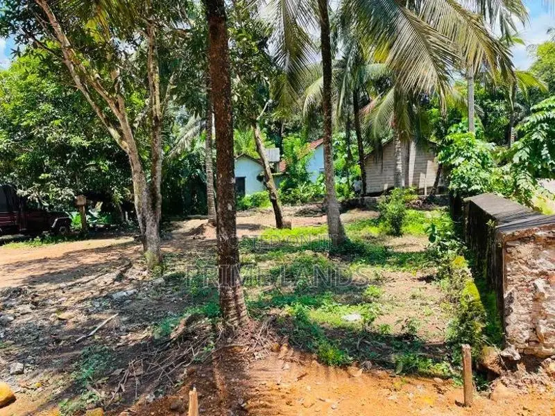හබරාදුව සංචාරක කලාපයට ආසන්නයේ බිම් කොටස් විකිණීමට