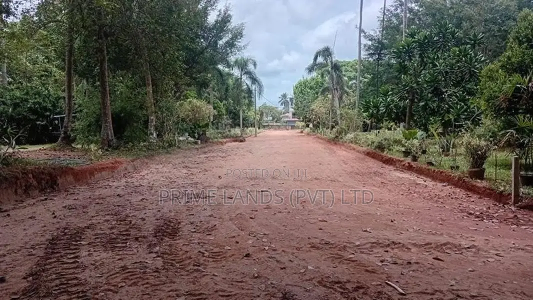Katana Land for Sale