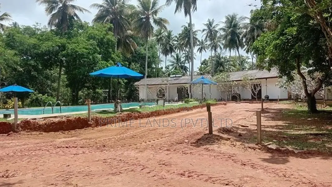 Katana Land for Sale