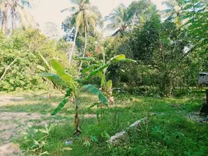 110 Perch Land for Sale Adiambalama, Katunayaka