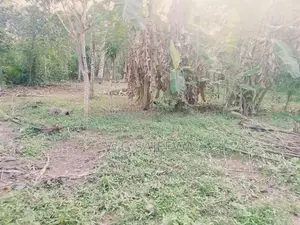 110 Perch Land for Sale Adiambalama, Katunayaka