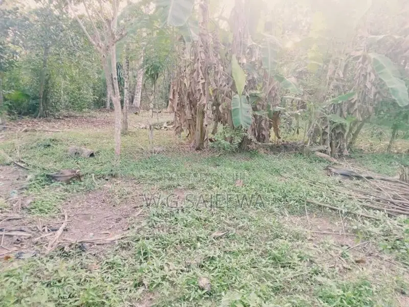 110 Perch Land for Sale Adiambalama, Katunayaka