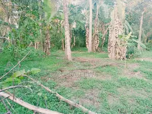 110 Perch Land for Sale Adiambalama, Katunayaka