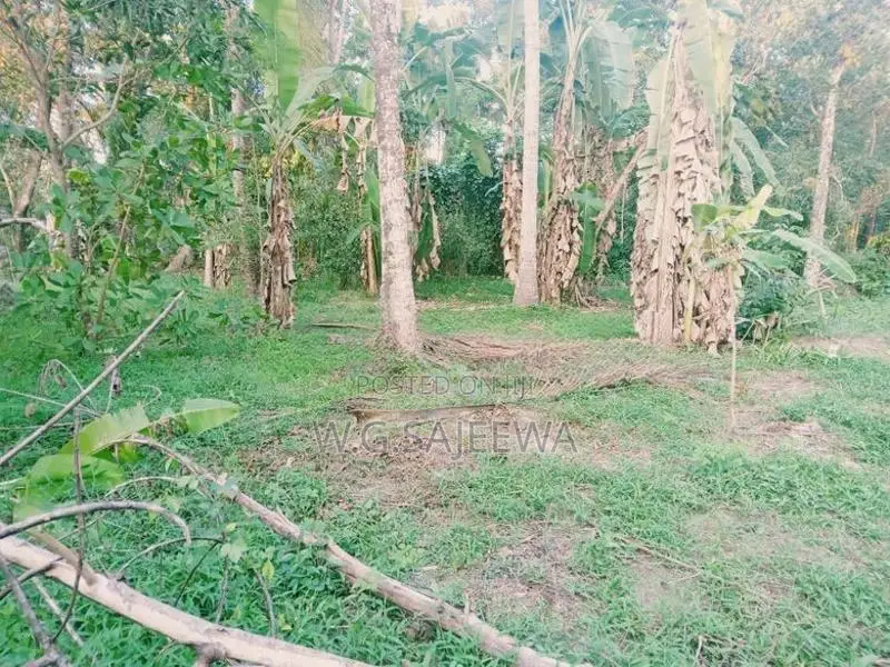 110 Perch Land for Sale Adiambalama, Katunayaka