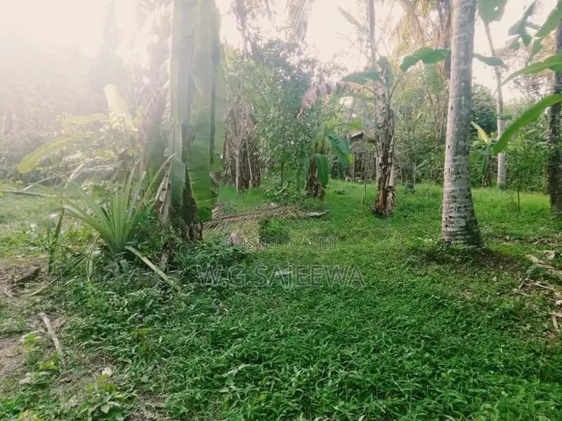 110 Perch Land for Sale Adiambalama, Katunayaka