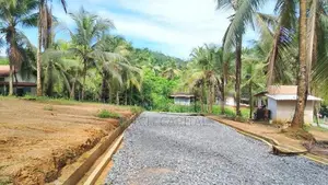 මිපේ දික්දෙනියෙන් අගනා බිම් කොටසක්