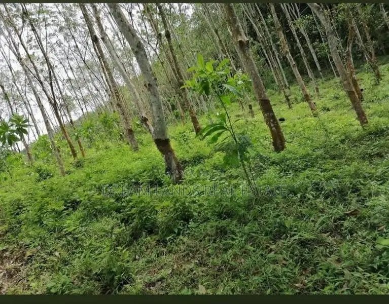 Padukka Rubber Lands For Sale ( RLS - 862 )