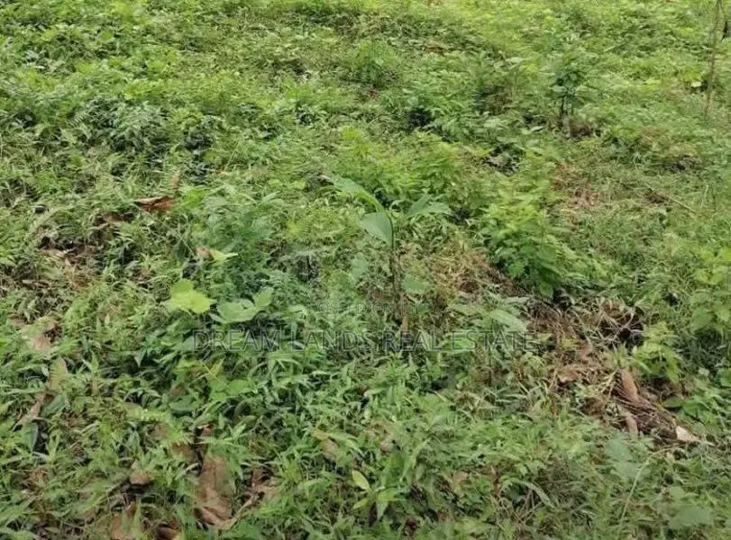Boralesgamuwa Land for Rent ( R- 862 )