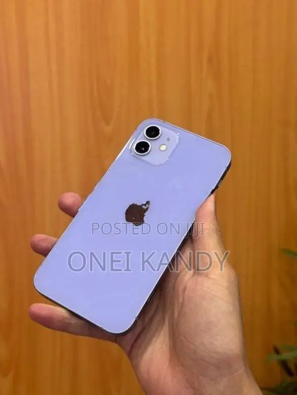 Apple iPhone 12 256GB (Used)