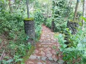 Commercial Land for Sale in Peradeniya