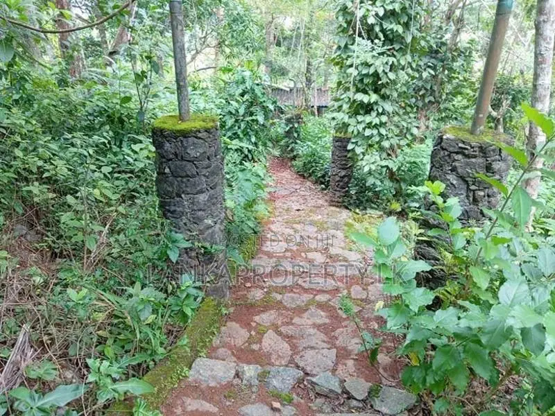 Commercial Land for Sale in Peradeniya
