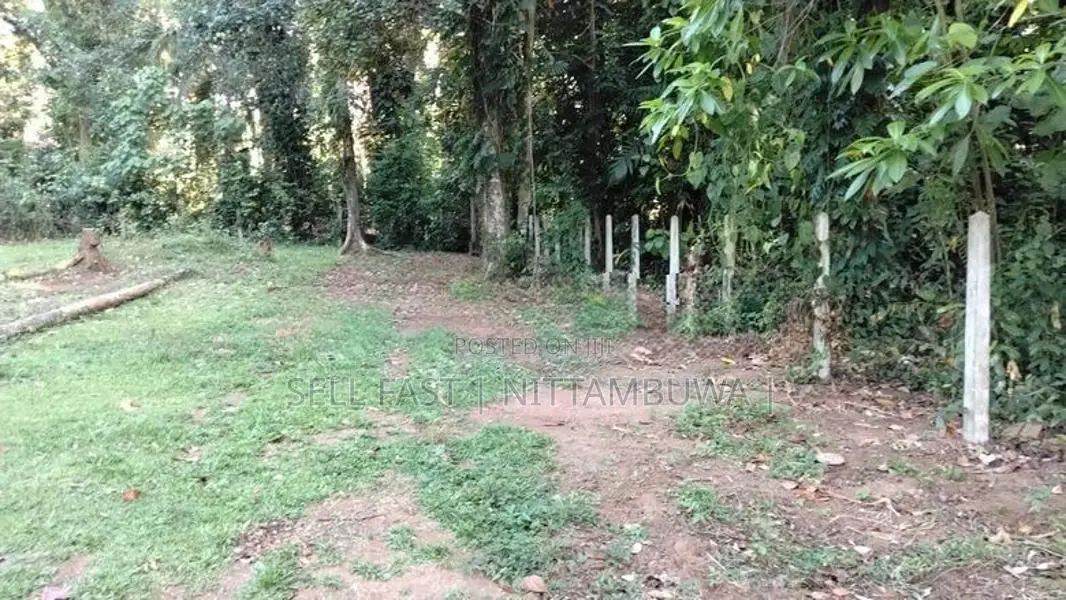 Land for Sale in Nittambuwa