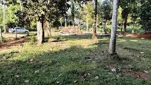 Land for Sale in Nittambuwa