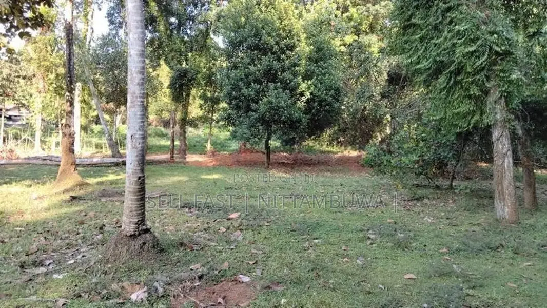 Land for Sale in Nittambuwa
