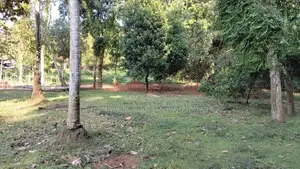 Land for Sale in Nittambuwa