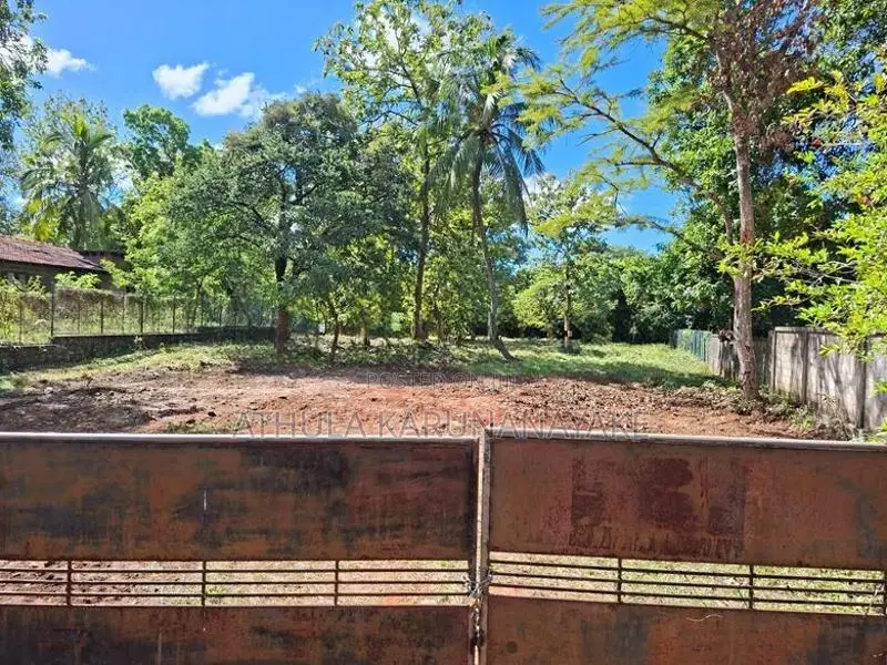 Land For Sale Dambulla
