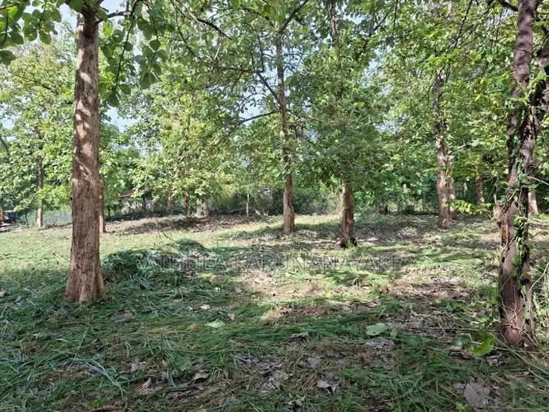 Land For Sale Dambulla