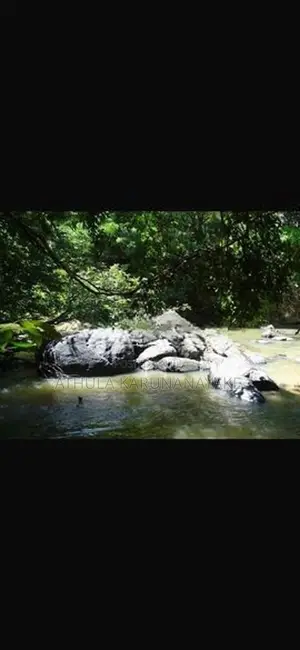 Land For Sale Dambulla
