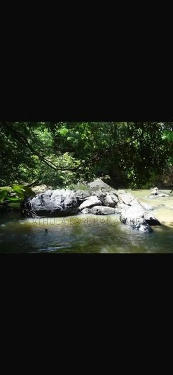 Land For Sale Dambulla