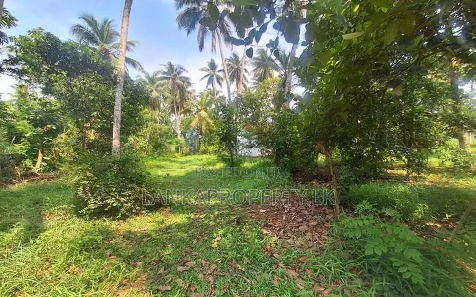 Acre Land for Sale in Wigoda, Bemmulla