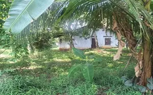 Acre Land for Sale in Wigoda, Bemmulla