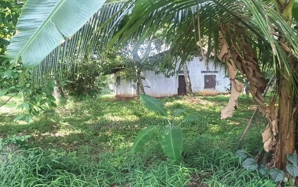 Acre Land for Sale in Wigoda, Bemmulla