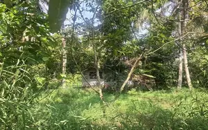 Acre Land for Sale in Wigoda, Bemmulla
