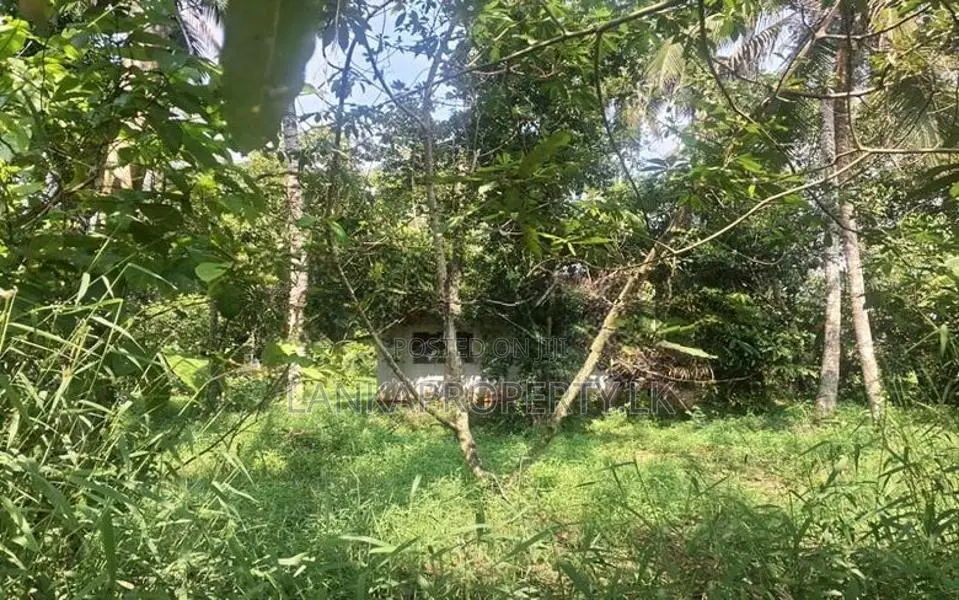 Acre Land for Sale in Wigoda, Bemmulla
