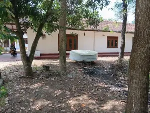 දළදගම නගරයේ AG Office පිටිපස පිහිටි නිවස සහ ඉඩම විකිණීමට ඇත