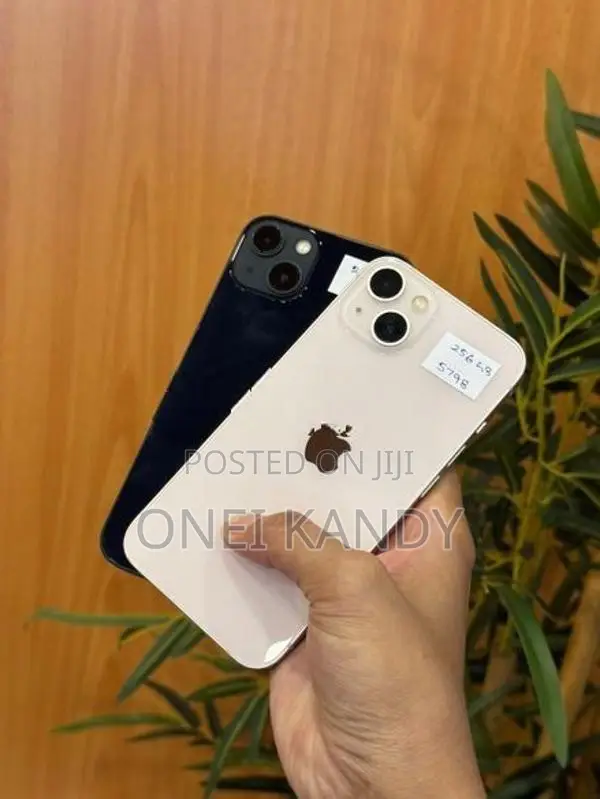 Apple iPhone 13 256GB (Used)