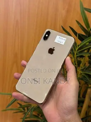 Apple iPhone XS Max 256GB (Used)