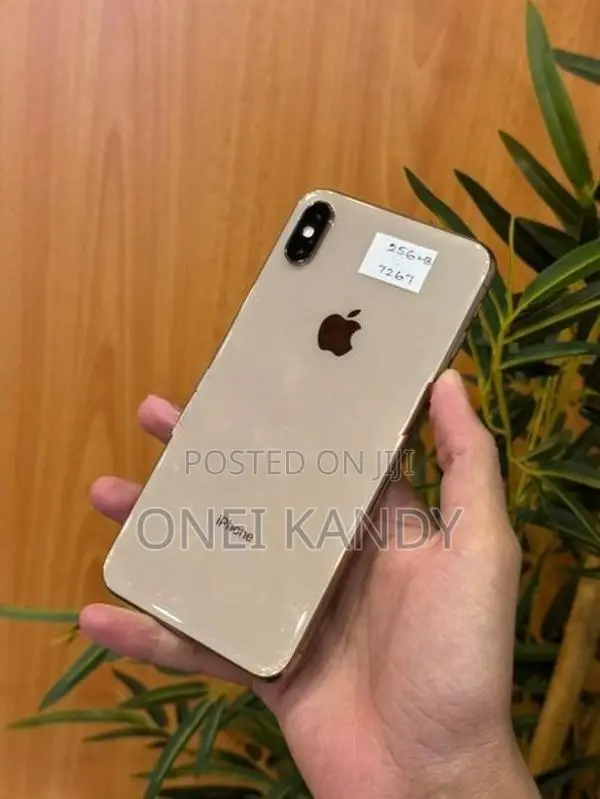 Apple iPhone XS Max 256GB (Used)