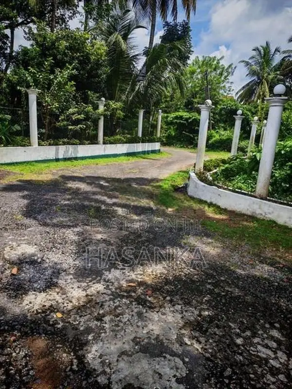 Land for Sale in Polgasowita