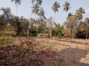 109 Perch Land with House for Sale Nainamadama