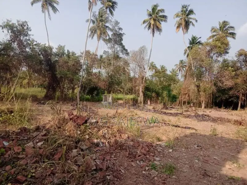 109 Perch Land with House for Sale Nainamadama