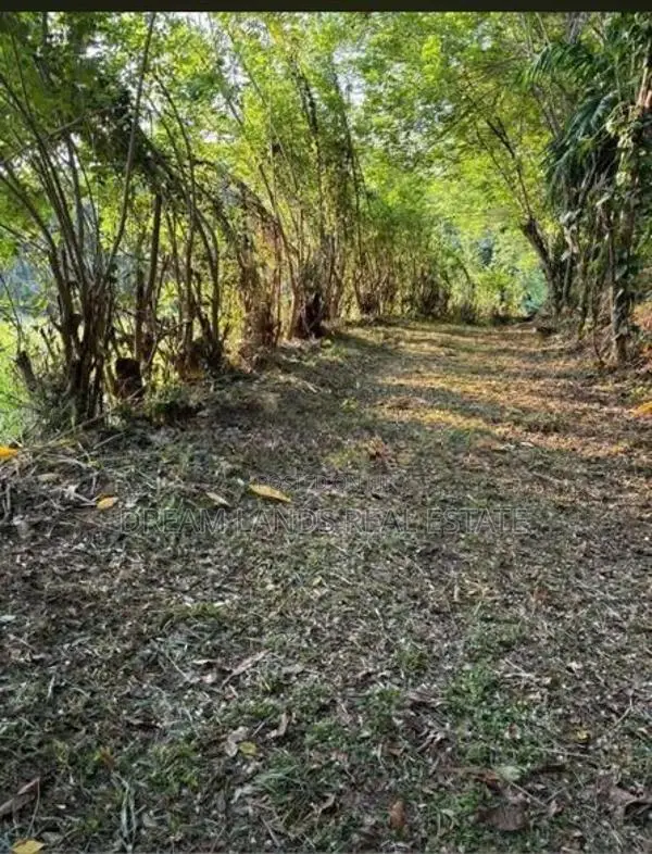 Pallebadda Land for Sale ( RLS - 864 )